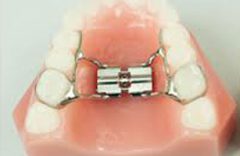 Ortho